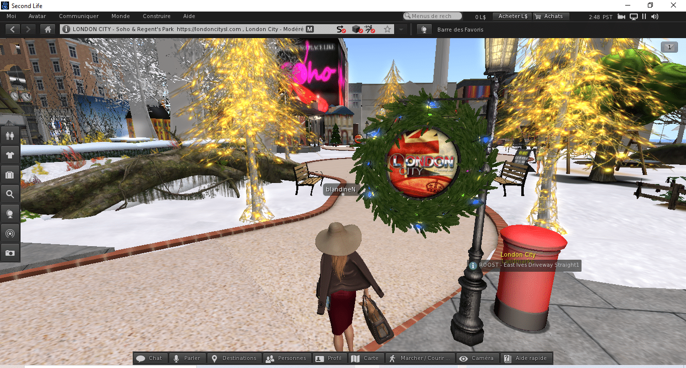 Overview of Second Life world