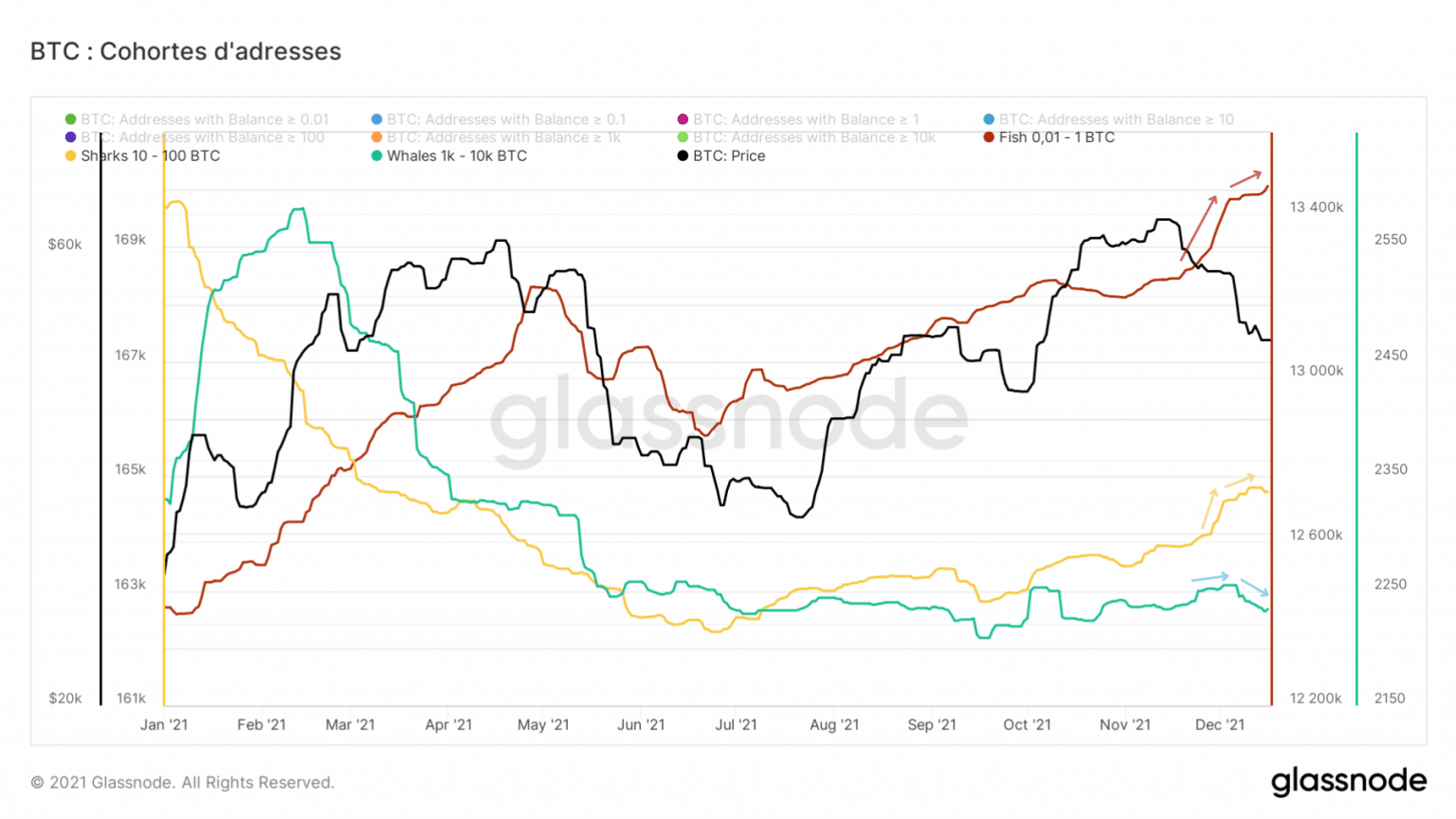 Graph of BTC held by bitcoin address groups (BTC) (Source: Glassnode)