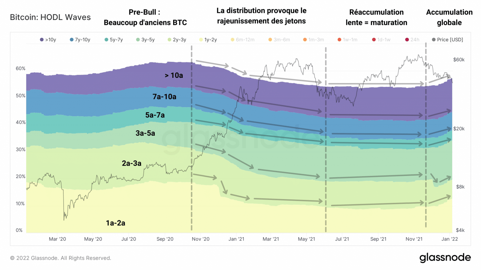Wykres fal HODL bitcoina (BTC) w ciągu 6 miesięcy (Źródło: Glassnode)
