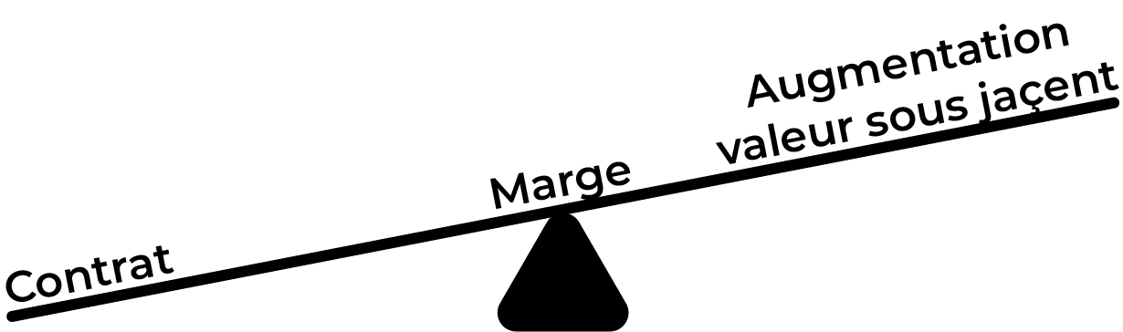 Principle of leverage