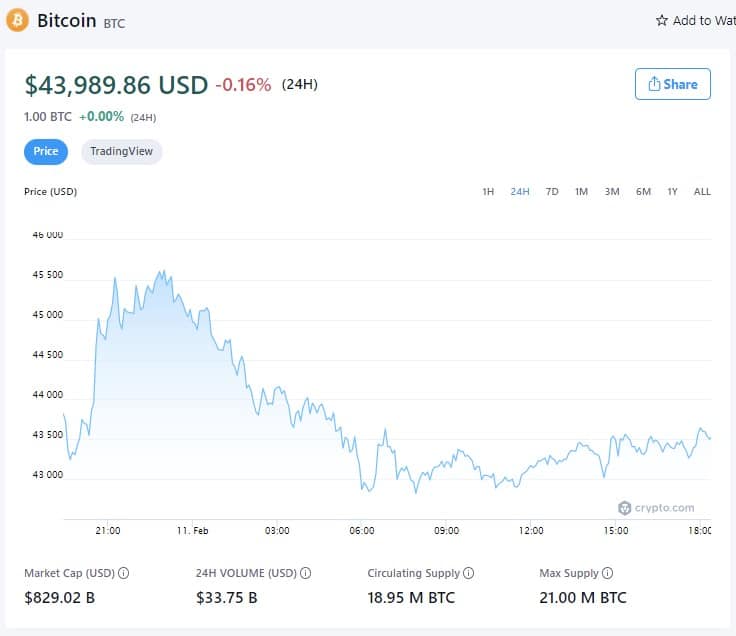 Bitcoin Price - February 11th, 2022 (Fonte: Crypto.com)