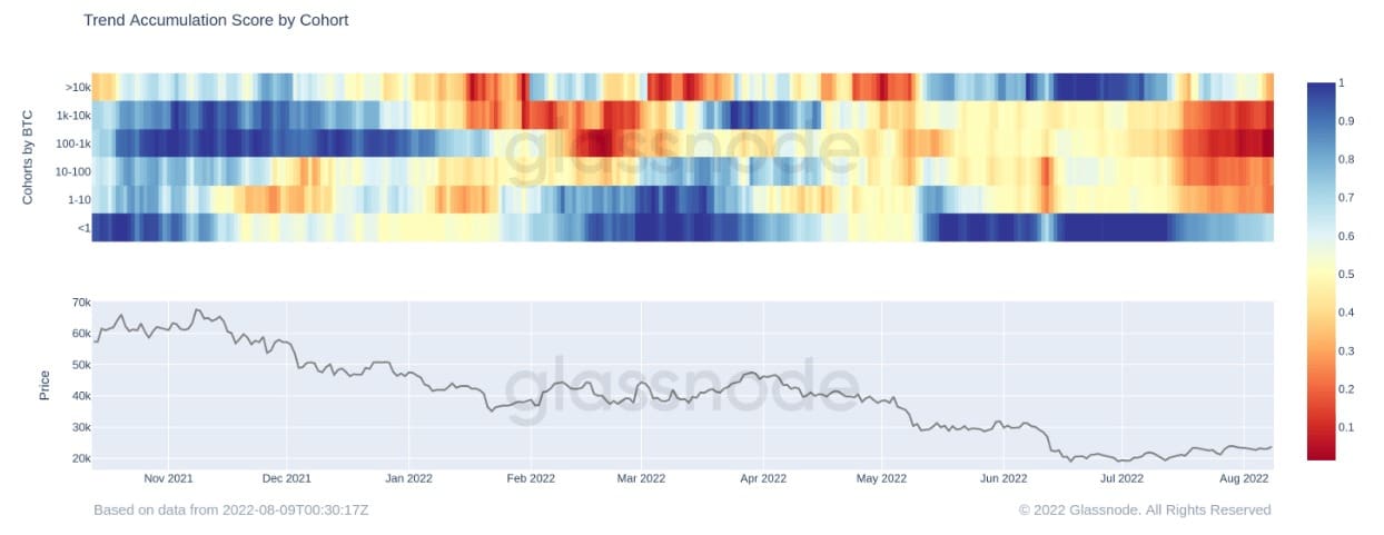 Puntuación de la tendencia de acumulación de Bitcoin por cohortes (Fuente: Glassnode)