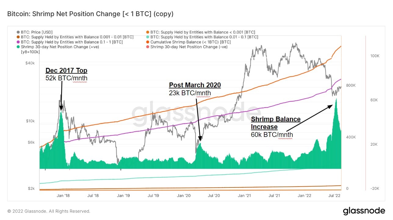 Net position change for Bitcoin shrimps holding less than 1 BTC (Source: Glassnode)
