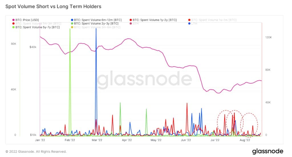 Spot volume voor Bitcoin voor lange termijn houders en korte termijn houders (Bron: Glassnode)