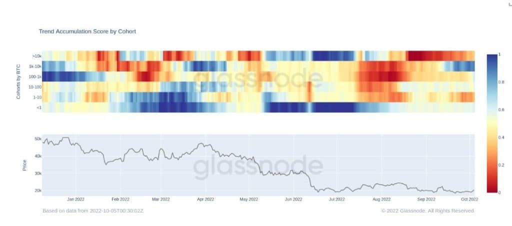Skóre trendu akumulace bitcoinů (zdroj: Glassnode)