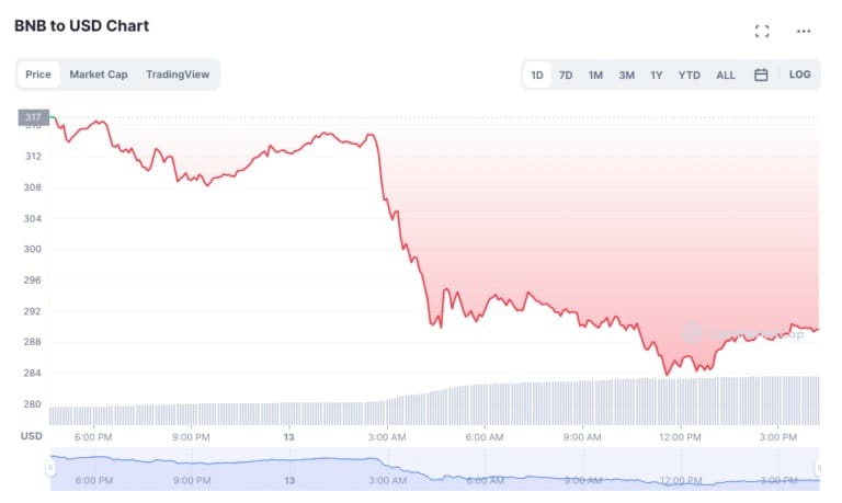 El precio del token BNB cae más de un 9% el 13 de febrero (Fuente: Coin Market Cap)