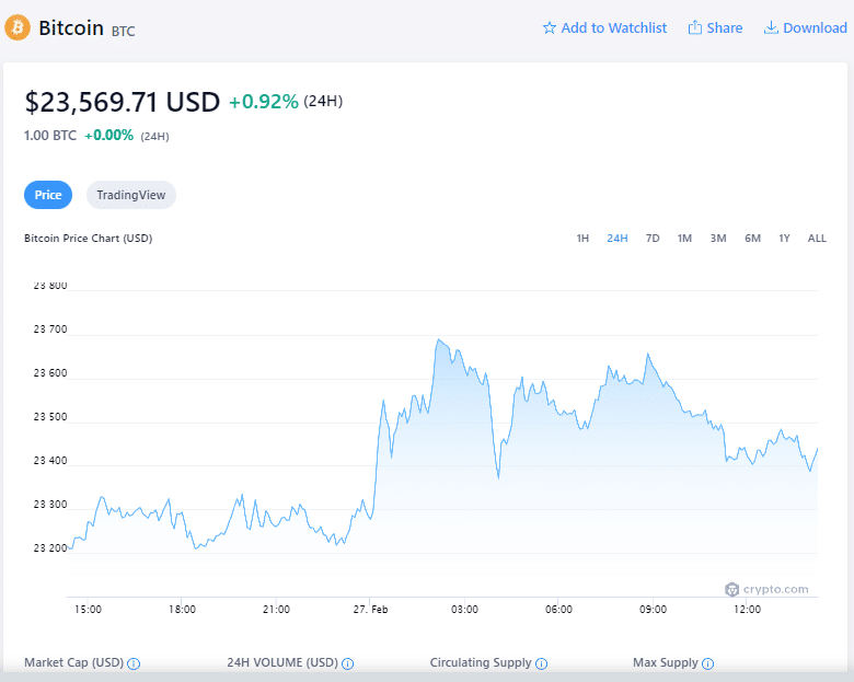 Bitcoin Price (Feb '23)