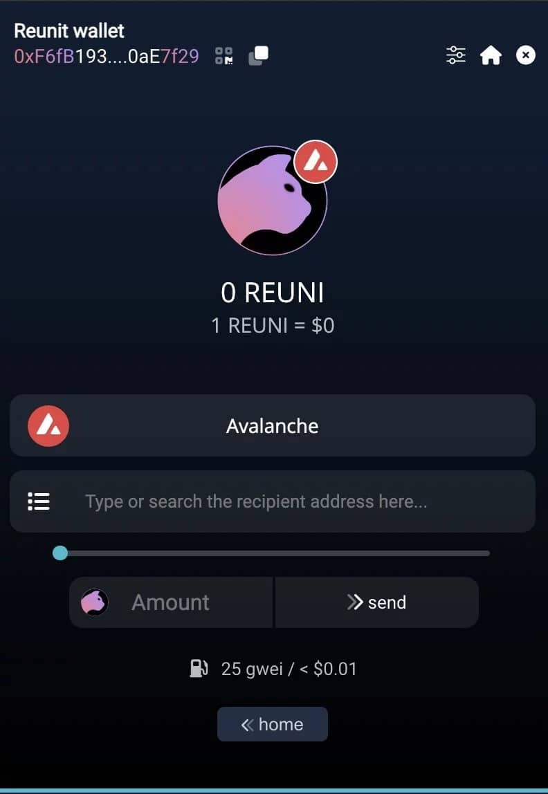 Reunit wallet interface preview
