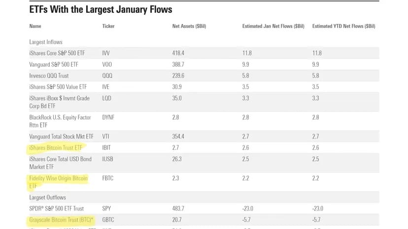 Zdjęcie: Zrzut ekranu rankingu Morningstar funduszy ETF według wpływów w styczniu 2024 r.