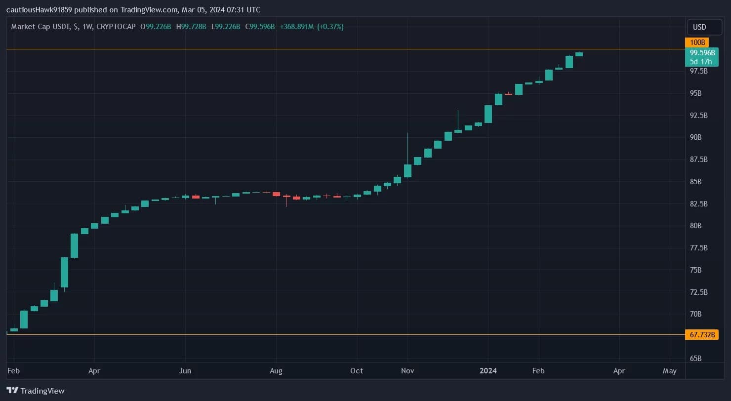 The progression of USDT capitalization over the past year